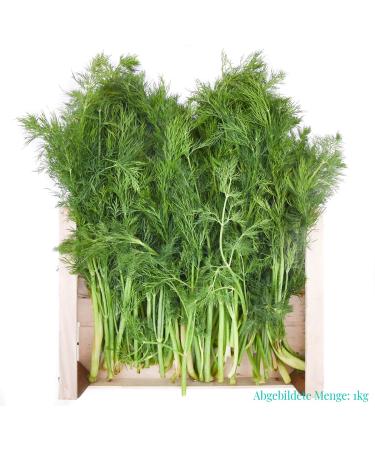 gr nhopper Dill Green Storage Box 2 kg