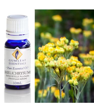 Gumleaf Essentials Helichrysum (3% in Jojoba) Essential Oil - 0.34fl oz Cruelty Free & Vegan 100% Pure & Natural
