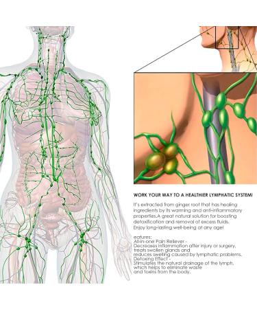 Pommade de Soin Lymphatique Cr me de Gonflement Lymphatique Cr me Douce de Drainage Lymphatique Pour un Soin Efficace de la Lymphe Et un Soulagement De L'enflure - Pommade De Soin des Ganglions Lympha - Buy Online on GoSupps.com
