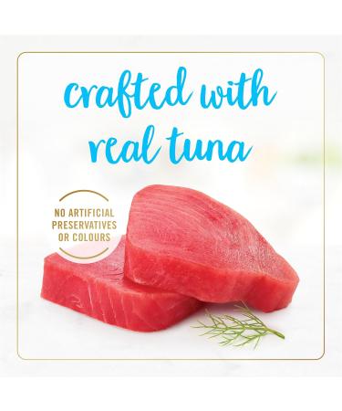 Fancy Feast Delights with Cheddar Wet Cat Food Grilled Tuna & Cheddar Cheese Feast - 85 g Can (24 Pack) - Buy Online on GoSupps.com