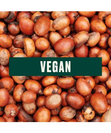 The Body Shop Shea Body Mist Refreshes and Cools with a Sweet Nutty Scent Vegan 3.3 oz - Buy Online on GoSupps.com
