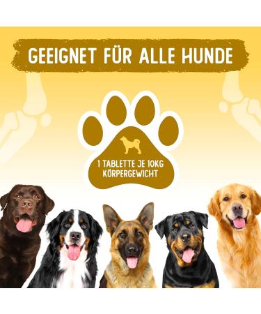 Animal Power Joint Tablets for Dogs - 100 pcs Made in Germany | Green Lipped Mussel Teufels Claw & MSM for Joint & Bone Protection - Buy Online on GoSupps.com
