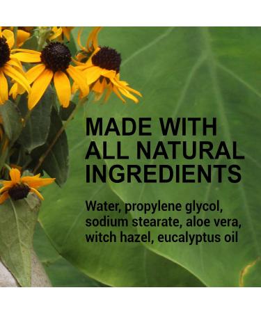 Eucalyptus Natural Deodorant Stick | Aluminum & Preservative Free | 2.5oz | Best International Shipping - Buy Online on GoSupps.com