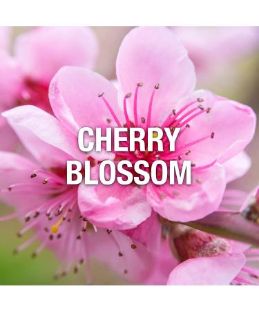Giorgio Beverly Hills Red Perfume for Women 3 fl. oz. EDT Spray - Buy Online on GoSupps.com