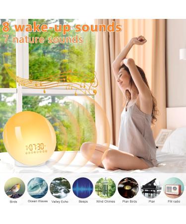 Baozily Light Alarm Clock Sunrise Sunset Simulation Double Alarms Snooze FM Radio & 11 Color Options Wake Up Naturally! - Buy Online on GoSupps.com