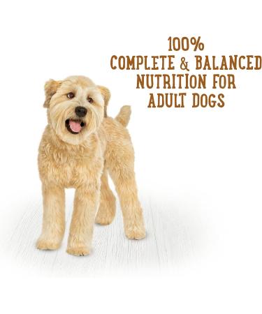 Beneful Prepared Meals Wet Dog Food Rice and Lamb Stew - 283 g Tub (8 Pack) - Buy Online on GoSupps.com
