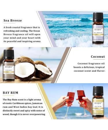 EUQEE Holiday Island Fragrance Oils Gift Set - Essential Oils for Diffusers - Aromatherapy Oil Blend of Pineapple Coconut, Sea Breeze, Bubble Gum, Bay Rum, Marshmallow - 6 Pack 10 ml - Buy Online on GoSupps.com