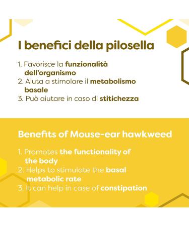 ERBOTECH Pilosella Mother Tincture Alcohol-Free Mother Tincture for Dilute in Water Vegan Not Derived from Plants - Buy Online on GoSupps.com