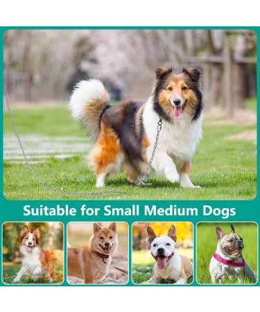 XiaZ Heavy Duty Dog Chains for Outside 20FT Stainless Steel Tie Out Cable with Swivel Hook for Large Medium Dogs Metal Chew Proof Pet Runner Chain Leash Lead for Outdoor Camping Hiking Yard 3MM Silver 3mm 20ft - Buy Online on GoSupps.com