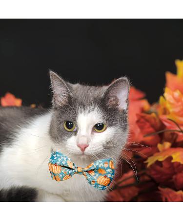 Fall Bow Tie Pumpkin Cat Collar Set with Bell | Autumn Thanksgiving Harvest Holiday Collar for Cats | Pumpkin Patch Design for Boys and Girls - Buy Online on GoSupps.com