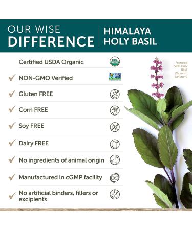 Himalaya Holy Basil 60 Vegetarian Capsules Helps Reduce Symptoms of Common Cold Non-GMO Gluten Free Supplement 720 mg 2 Month Supply - Buy Online on GoSupps.com