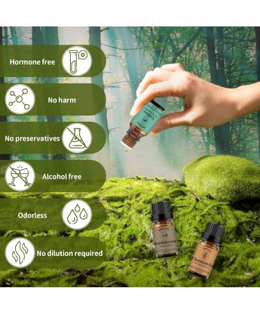 Chamomile Sandalwood Vetiver Essential Oils Set 100% Pure Premium Grade Natural Fragrance Oil Gift kit for Diffusers Home Care Candle Making Fragrance Aromatherapy Humidifiers Chamomile + Sandalwood + Vetiver 10.00 ml (Pack of 3) - Buy Online on GoSupps.com