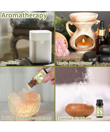 Yethious White Tea Essential Oil - Aromatherapy & Fragrance Oil for Diffusers Baths Soaps & Candles - 10ML - Buy Online on GoSupps.com