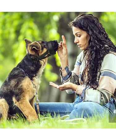 Heele Dog Muzzle with Head Belt | Comfortable & Secure Dog Muzzle for Training & Safety - Fast International Shipping - Buy Online on GoSupps.com