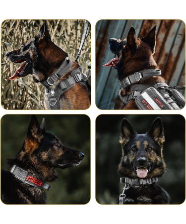 OneTigris Dog Collar with Metal Buckle for Dogs - Durable Grey LL Dog Collar for Ultimate Comfort & Style - International Shipping Available - Buy Online on GoSupps.com