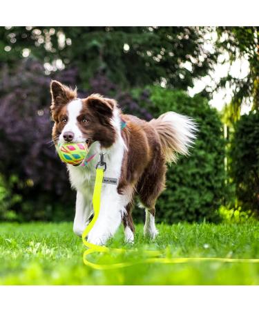 Wolfone 9m Yellow Tow Lines for Dogs | Waterproof Training Leash | Durable Recall Line for Swimming Camping Beach Hunting & Walks - Buy Online on GoSupps.com