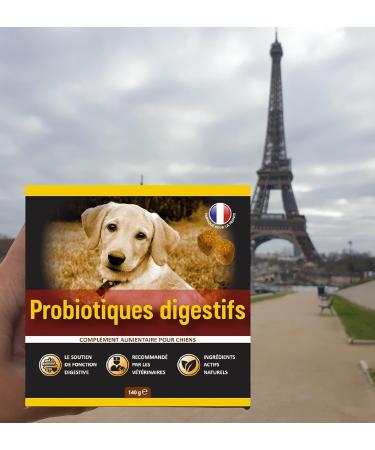 GastroBalance Probiotic Dog Treatment 60 Natural Probiotic Dog Intestinal Flora Croquettes Bacon Flavor (French) - Buy Online on GoSupps.com