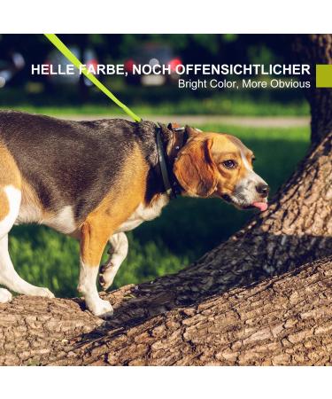 Toozey Waterproof Drag Line for Dogs - 3m 5m 7m 10m 15m 20m - Robust Leash with Hand Loop & Mains Bag - Perfect for All Dog Sizes - Neon Yellow - Buy Online on GoSupps.com