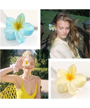 MiDoDo Hawaiian Flower Hair Clips for Women 4 Pack Flower Hair Claw Clips Plumeria Claw Clips for Thin Hair Large Claw Clips for Thick Hair Beach Tropical Hair Accessories for Girls Colorful - Buy Online on GoSupps.com