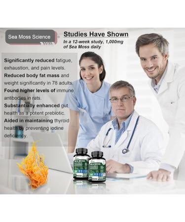16-in-1 Organic Sea Moss Gel Alternative Capsules Superfood Blend with Ashwagandha, Black Seed Oil, Turmeric, Bladderwrack, Burdock, Elderberry, Manuka, Dandelion, Yellow Dock, Vitamin C & D3 - Buy Online on GoSupps.com