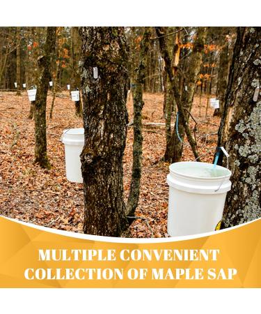 12Set Maple Syrup Tapping Kit 12Pcs Maple Syrup Taps with Food Grade Maple Syrup Tubing Maple Tree Tapping Kit for Maple Syrup Collection Supplies - Buy Online on GoSupps.com