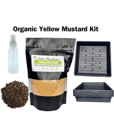 Yellow Mustard Microgreen Kit - Organic Mustard Sprout Seeds - Indoor Microgreens Growing Kit Includes Seed Packets Growing Trays Spray Bottle Soil and Comprehensive Guide (50 Grams) - Buy Online on GoSupps.com