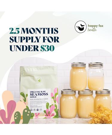 Happy Fox Sea Moss Raw Organic Gel - Dr. Sebi Approved, Wildcrafted Irish Moss - 100g Pack (3.52oz) - Trusted Brand, Makes 75oz Gel - Buy Online on GoSupps.com