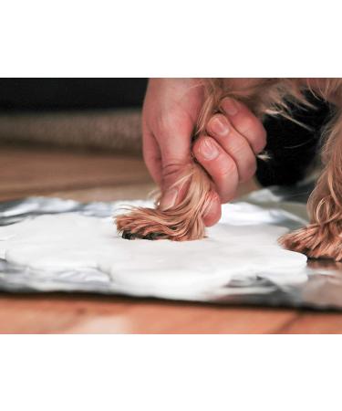 Pearhead Pet DIY Pawprints Memorial Box Kit - Espresso | Perfect for Dogs & Cats - Buy Online on GoSupps.com