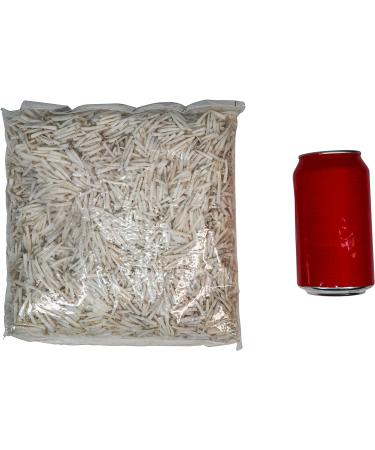 One KG Bag (2.2 lbs) of 0.5" to 1" Dentalium octagulatum Shells (267-SKG-AS) - Buy Online on GoSupps.com