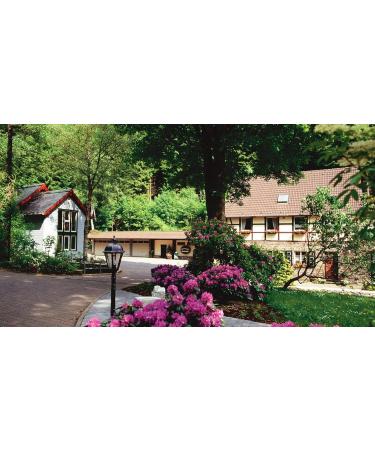 Herbal Mustard - Monschau Mustard - Moutarde de Montjoie - 500ml Refill Bucket | International Shipping - Buy Online on GoSupps.com