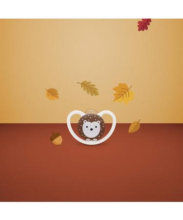 Nuk Space Baby Schnuller - BPA-Free Silicone Pacifier for 0-6 Months (Cat & Hedgehog) - Extra Ventilation - 2 Pack - Buy Online on GoSupps.com