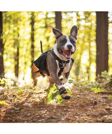 Kurgo Baxter Dog Backpack Hiking Pack for Dogs Lightweight Reflective Black/Orange Baxter Black - Buy Online on GoSupps.com