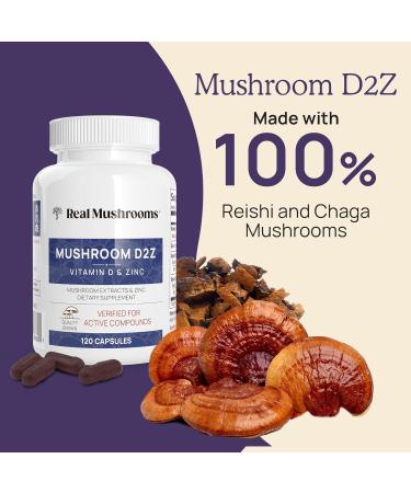Real Mushrooms Vitamin D2 Zinc (120ct) and Chaga (120ct) with Reishi Bundle - Natural Support for Immune Strength and Digestive Health - Vegan Gluten Free Non-GMO Organic Mushroom Extracts - Buy Online on GoSupps.com