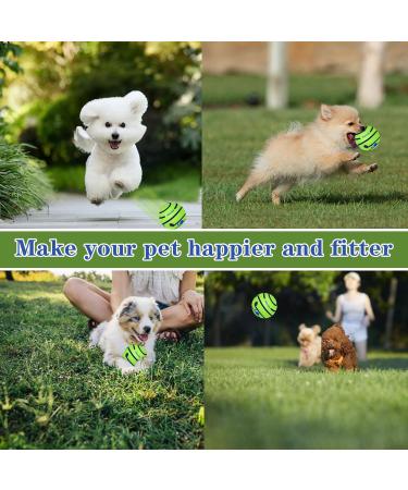 Indestructible Loud Dog Balls | Interactive Dog Toys | Divinggoe Green 3.46 Inch - Buy Online on GoSupps.com