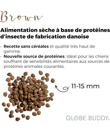 Globe Buddy Brown Dry Dog Food with Sustainable Insect Protein Grain-Free Recipe Ideal for Sensitive Stomachs 3.75 kg - Buy Online on GoSupps.com