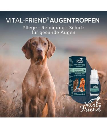 Vital-Friend Eye Drops for Dogs Cats & Horses - 10ml Preservative-Free Eye Care for Inflammation & Conjunctivitis - Buy Online on GoSupps.com