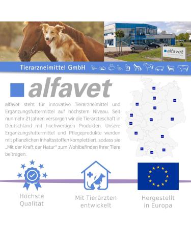 Alfavet Reconvales Antiphos - Kidney Support for Cats & Dogs | Nutritional Supplements with Phosphate Binders - 3 x 90ml Bottles - Buy Online on GoSupps.com