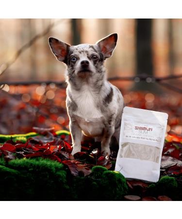 Bellfor Shiimun Slim - Natural Dog Diet Powder for Healthy Weight Loss with Shiitake (50g) - Sustainable Nutrition for Dogs - Buy Online on GoSupps.com