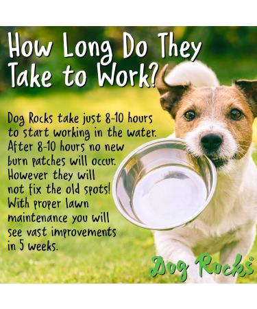 Dog Rocks 100% Natural Urine Patch Preventer - 200g Bag - Buy Online on GoSupps.com