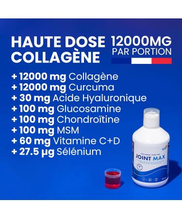Joint MAX Collagen I Pure Hydrolyzed Collagen (Type I II and III) I Glucosamine MSM Chondroitin Turmeric Hyaluronic Acid I 100% Natural Flavor I Sugar Free - Supply for 20 Days - Buy Online on GoSupps.com