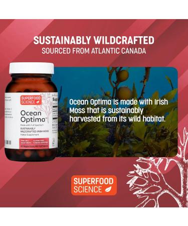 Ocean Optima Organic Sea Moss Capsules (Chondrus crispus) for Skin Nail Hair and Gut Naturally Occurring Kosher Iodine for Thyroid Support Single-Ingredient Wild Irish Seamoss Vegan 90 Servings - Buy Online on GoSupps.com