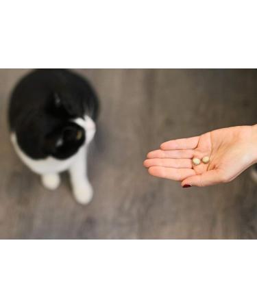 Vetocanis - Brewer's Yeast for Cats - Beauty of the Coat - Hygiene and Health of the Cat - Promotes Immunity and Strengthens the Cat's Claws - Natural Product - Box of 60 tablets - Buy Online on GoSupps.com