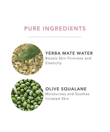 100% Pure Green Tea EGCG Face Cream | Anti-Aging Antioxidant Hydrating Moisturizer with Squalene & Caffeine | 1.4 Oz - Perfect for Men & Women - Buy Online on GoSupps.com
