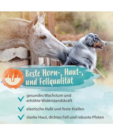 Ida Plus Mineral Forte - Essential Minerals & Vitamins for Immune System Skin Fur Bones & Claws for Horses Dogs & Cats - 2kg - International Shipping Available - Buy Online on GoSupps.com