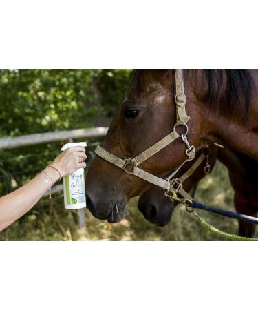 Biolopur Mane Spray & Coat Care - 500ml Ready-to-Use Horse Coat Shine Spray | International Shipping Available - Buy Online on GoSupps.com