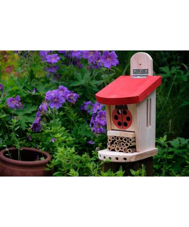 Wildlife World LBT4 Live Ladybird Lodge in Red/Brown - Natural Pest Control Solution - Buy Online on GoSupps.com
