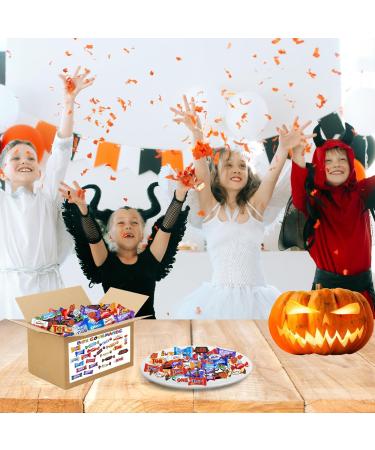 GOURMET BOX | Mega Assortment of 500 Individually Wrapped Mini Chocolates | Celebrations Kinder Milka Daim Toblerone | Over 3.7kg of Chocolate to Share - Buy Online on GoSupps.com