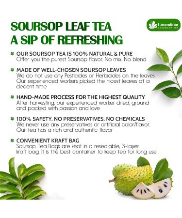 Lavendium Premium 40 Soursop Leaf Tea Bags 100% Natural and Pure from Soursop Graviola Leaves. Made with Eco-Conscious Tea Bags Soursop Leaf Herbal Tea. No Sugar No Caffeine No Gluten Vegan. (40 Bags) - Buy Online on GoSupps.com