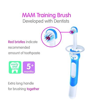 MAM Training Toothbrush for Babies | Baby's Brush with Safety Shield & Brushy The Bear Character | Interactive App | Boys 5+ Months | Blue - Buy Online on GoSupps.com