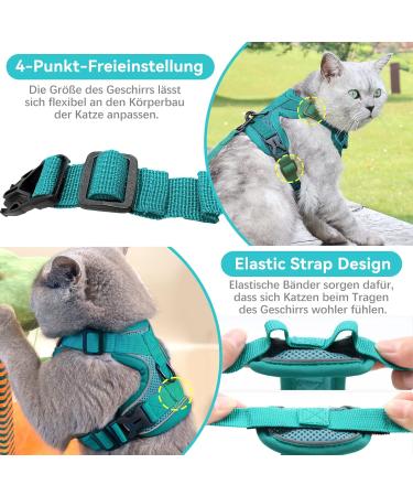 Adjustable Cat Dishes for Kittens & Puppies | Blue Lake Cat Feeding Set - International Shipping - Buy Online on GoSupps.com